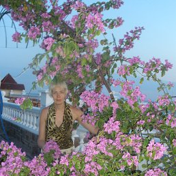 ���� ������, �����������, 61 ��� - ��������� 18 ������� 2013