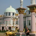  , -, 50  -  11  2014    2013