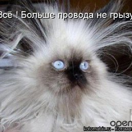 ���� ��������, ������, 64 ���� - ��������� 16 ������� 2013