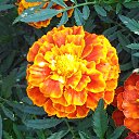  Sergey, , 54  -  8  2013   