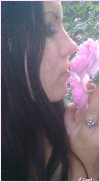  :  - Maggota, 