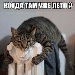 ���� �������, ��������, 46 ��� - ��������� 9 ������� 2014