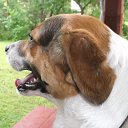 ���� ��������, �����-��������� - ��������� 7 ������� 2013 � ������ ���� ����������