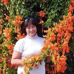 ���, �����������, 60 ���