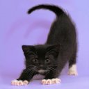 ���� Dayana, ��������, 24 ���� - ��������� 7 ������� 2013