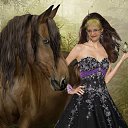 ���� ����, ������ - ��������� 25 ������� 2013 � ������ ���� ����������