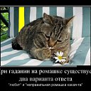 ���� ����, ������, 43 ���� - ��������� 10 ������ 2013 � ������ ���� ����������