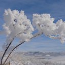 ���� ����, ����������� - ��������� 28 ������� 2013 � ������ ������ ��������