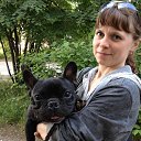 ���� ��������, ������ - ��������� 1 ������� 2013 � ������ ���� ����������