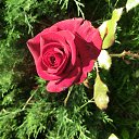 ���� ���������, ���������������, 61 ��� - ��������� 28 ������ 2014 � ������ ����������