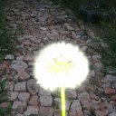 ���� �������, ���� - ��������� 23 ������� 2013 � ������ ���� ����������