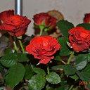 � ���������� �����! �� ������� ������ ��������