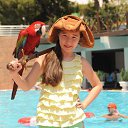 ���� ������, ������, 53 ���� - ��������� 24 ������� 2013 � ������ ���� ����������