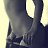 ���� ����, ����������� - ��������� 3 ������ 2014