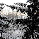 ���� �������, �����, 56 ��� - ��������� 11 ������ 2013 � ������ ���� ����������