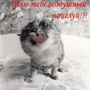 ���� ������, �������� - ��������� 27 ������ 2014 � ������ ���� ����������