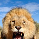 ���� �������, ������ - ��������� 6 ������� 2013 � ������ ���� ����������