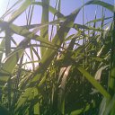 ���� �������, ����� - ��������� 27 ������� 2014 � ������ ��� ��� ������ ���