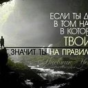  Elena, - -  21  2013     .