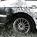 ���� Pittolinn, �����������, 54 ���� - ��������� 22 ������� 2013 � ������ �������
