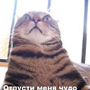 ���� ������, ������, 52 ���� - ��������� 8 ������ 2014 � ������ ���� ����������