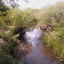 ���� ������, �����, 56 ��� - ��������� 11 ������� 2013 � ������ ���� ����������