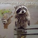 ���� �����, ������ - ��������� 24 �������� 2013