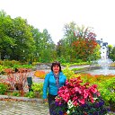 ������� ������ �� ������� ���� ����������