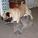 ���� ���������, ���������������, 61 ��� - ��������� 4 ������� 2014 � ������ �������