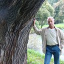  , -, 68  -  18  2013    