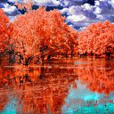 ���� �����, ���������, 68 ��� - ��������� 22 �������� 2013