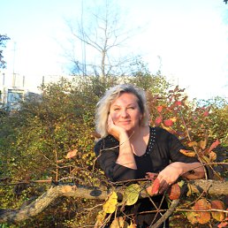 ���� �����, ���� - ��������� 31 ������� 2013