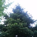 ���� ����, ����, 55 ��� - ��������� 2 �������� 2013 � ������ ���� ����������