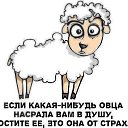 ���� ������ ���������, ��������, 49 ��� - ��������� 7 ������� 2014 � ������ ���� ����������