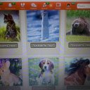 ����� ��� ��������. �� ������� ���������