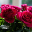 ���� ����, ������, 53 ���� - ��������� 4 ������� 2013 � ������ �������