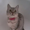 ���� ������, �������, 50 ��� - ��������� 24 ������ 2014 � ������ ���� ����������