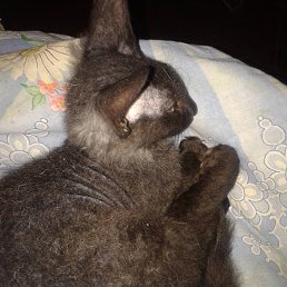 ���� Natasha, ������, 38 ��� - ��������� 19 ������� 2013