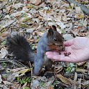 ����� ������� ������� ������ ������� ������, ����� � ����� ���������: �������� ������ �� ! �� ������� ������ � ������� ����