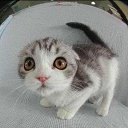 ���� �������, ������ - ��������� 29 ������ 2013