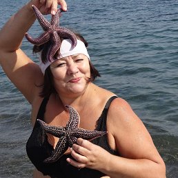 �������, ���������, 68 ���