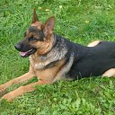 ���� ���������, �����, 39 ��� - ��������� 26 ������� 2013 � ������ ���� ����������