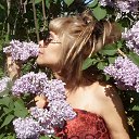 ���� ���, ������, 58 ��� - ��������� 30 ������� 2013 � ������ ���� ����������