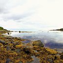 ���� Pittolinn, �����������, 54 ���� - ��������� 22 ������� 2013 � ������ �������