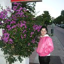 ���� ��������, ����������, 50 ��� - ��������� 26 ������ 2014 � ������ ���� ����������