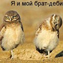 ���� ���), �����������, 24 ���� - ��������� 10 �������� 2013 � ������ ���� ����������