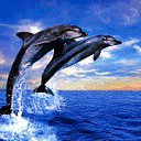 ���� Murka, ������� - ��������� 21 �������� 2013 � ������ ���� ����������