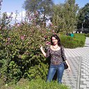 ���� �������, ����������, 43 ���� - ��������� 24 �������� 2013