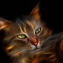  []__[],  -  23  2013    