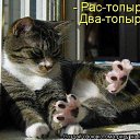���� �����, ��������� - ��������� 16 ������ 2013 � ������ ��������